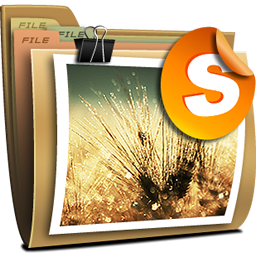 Folder Shared Pictures Icon 256x256 png